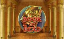 Book of Dead -kolikkopeli arvostelu